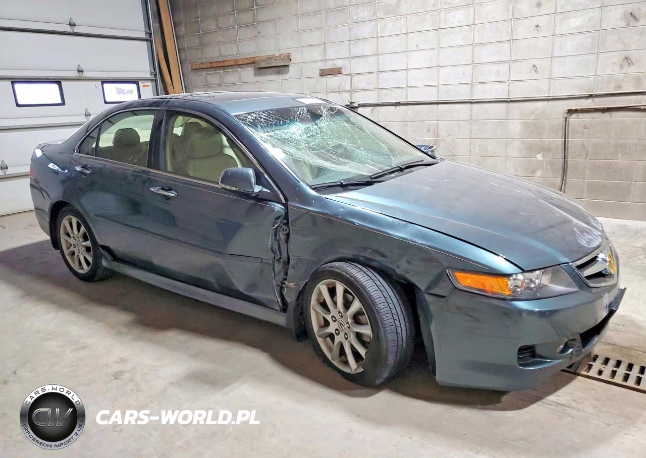 2006 Acura Tsx VIN:JH4CL96866C017669 - 4