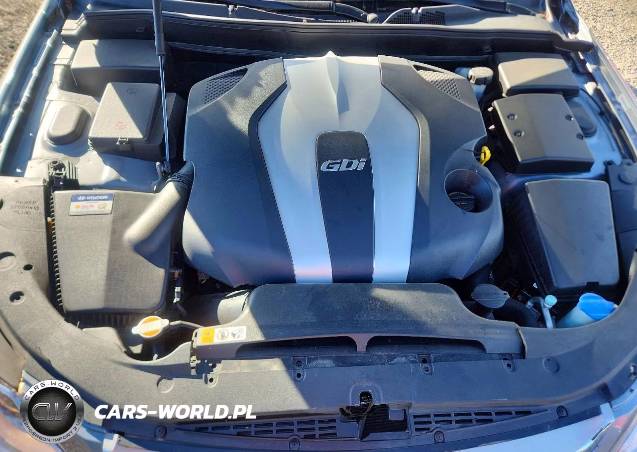 2014 Hyundai Genesis 3.8L VIN:KMHGC4DD6EU260036 - 11