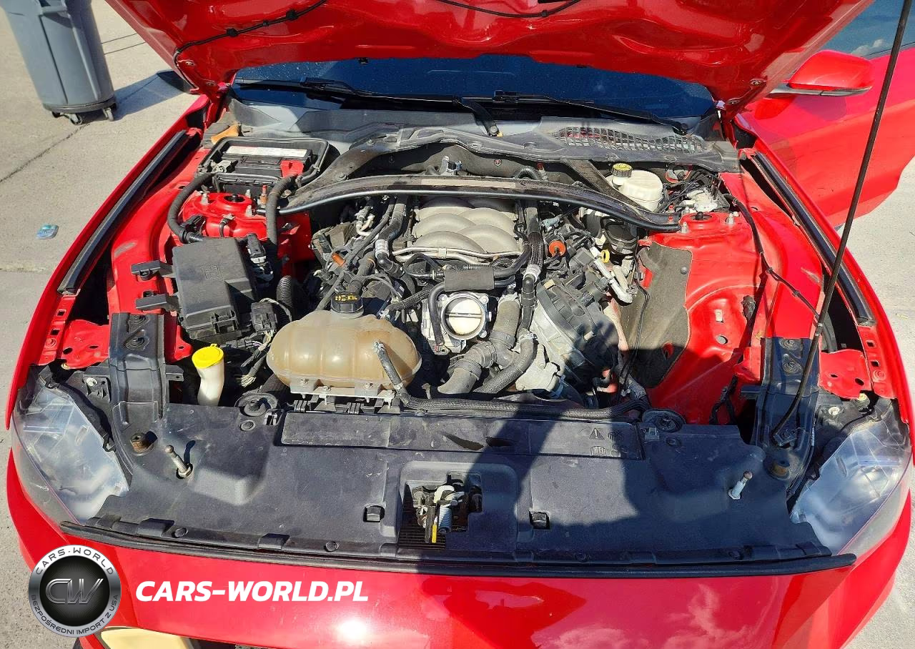 2019 Ford Mustang Gt VIN:1FA6P8CF6K5151442 - 10