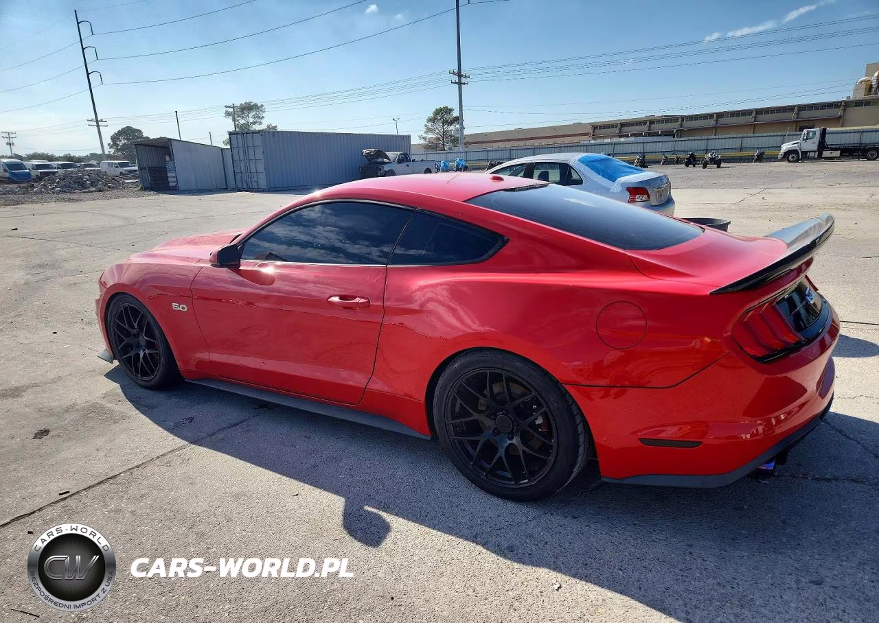 2019 Ford Mustang Gt VIN:1FA6P8CF6K5151442 - 2