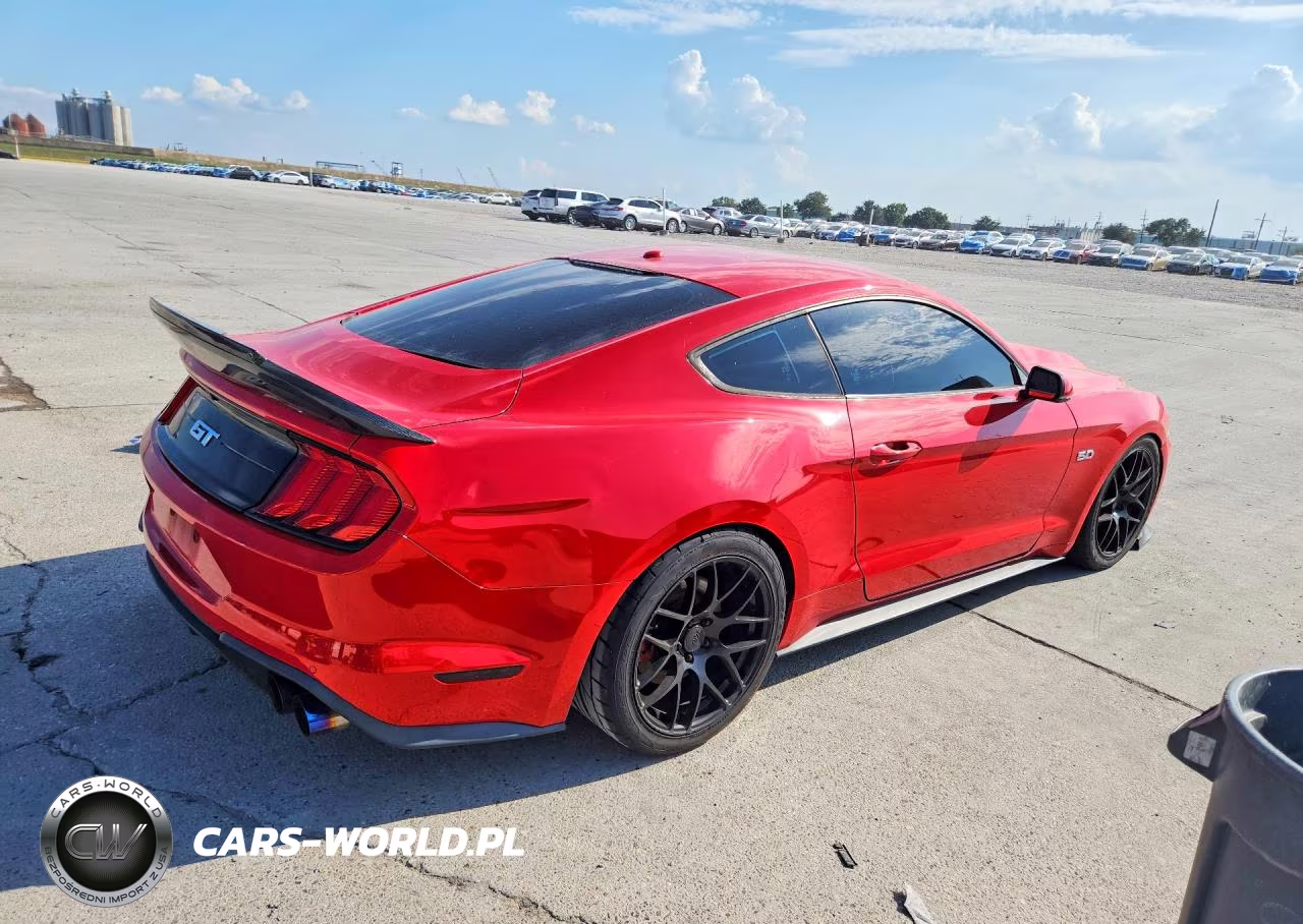 2019 Ford Mustang Gt VIN:1FA6P8CF6K5151442 - 3