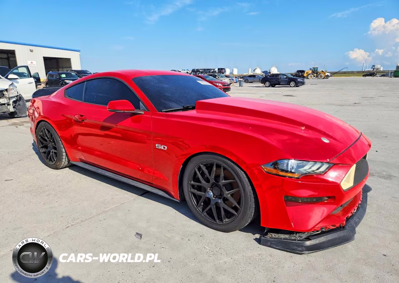 2019 Ford Mustang Gt VIN:1FA6P8CF6K5151442 - 4