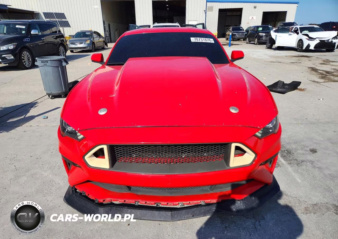 2019 Ford Mustang Gt VIN:1FA6P8CF6K5151442 - 5