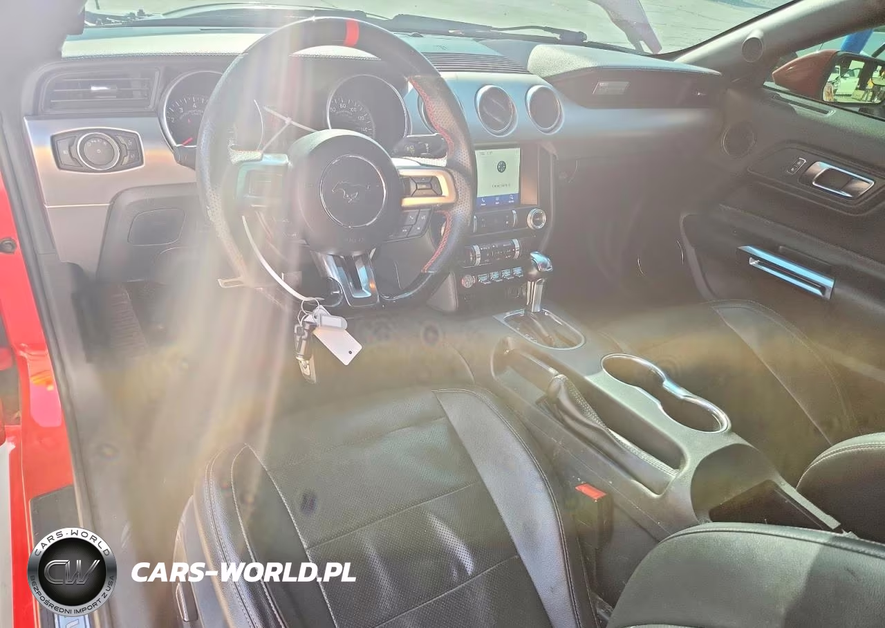 2019 Ford Mustang Gt VIN:1FA6P8CF6K5151442 - 7