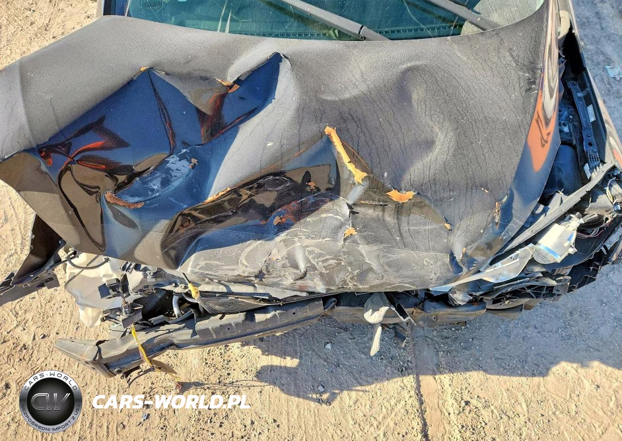 KIA FORTE VIN:KNAFX4A64G5499881 - 11