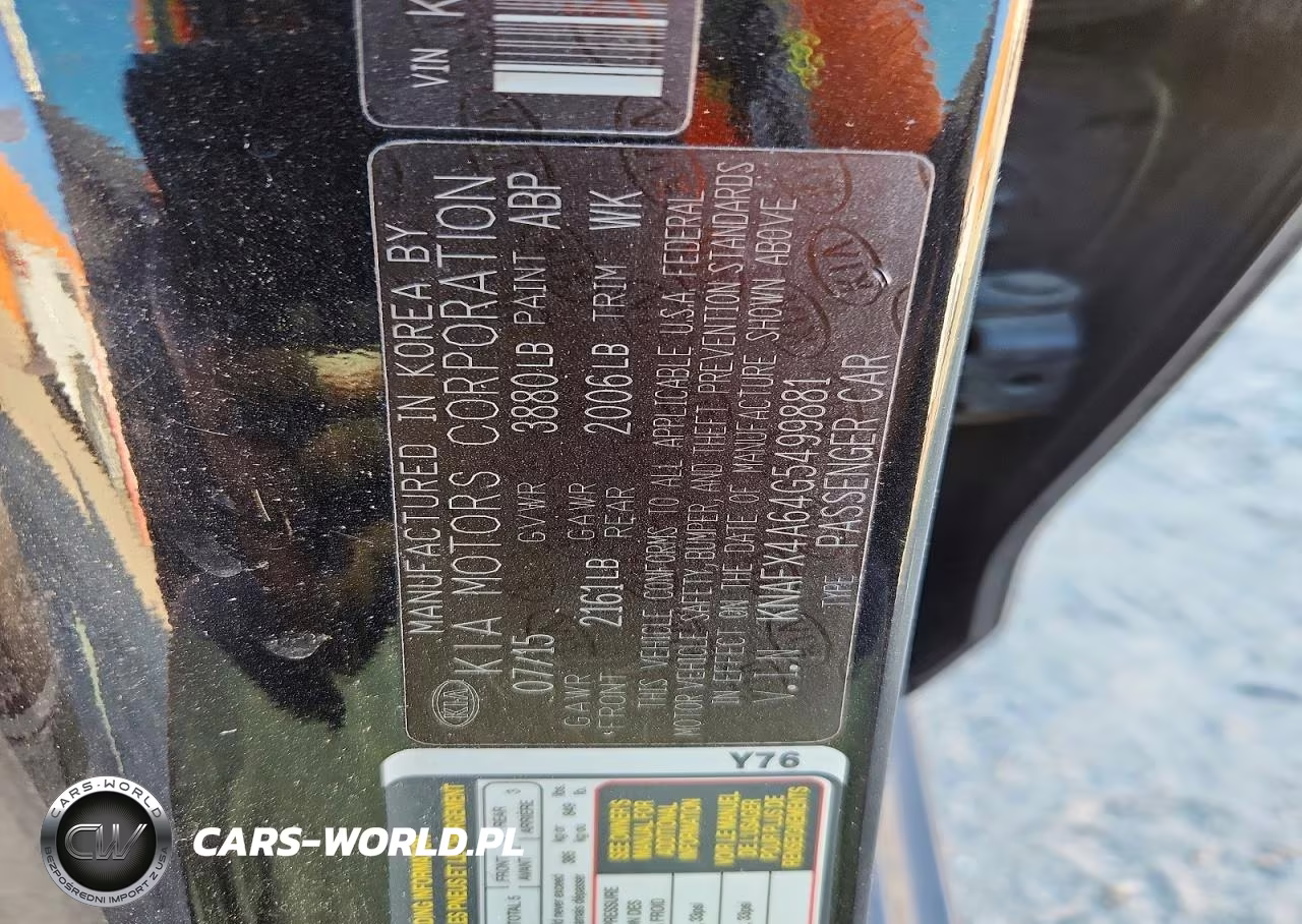 KIA FORTE VIN:KNAFX4A64G5499881 - 12