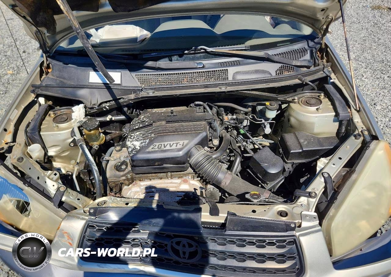 2001 Toyota Rav4 Base VIN:JTEGH20V310006094 - 12