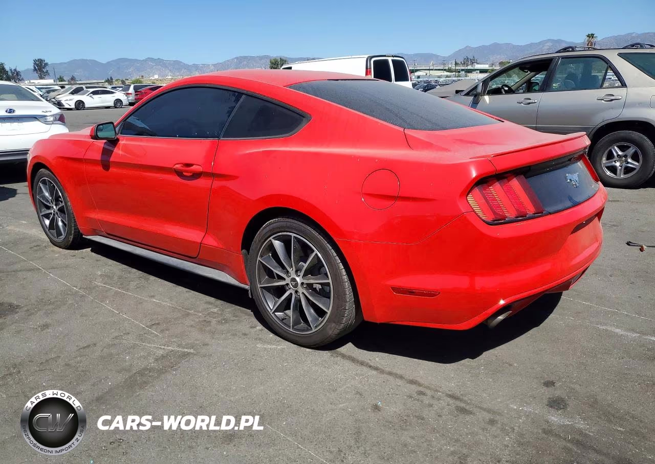 2017 Ford Mustang VIN:1FA6P8THXH5225276 - 2