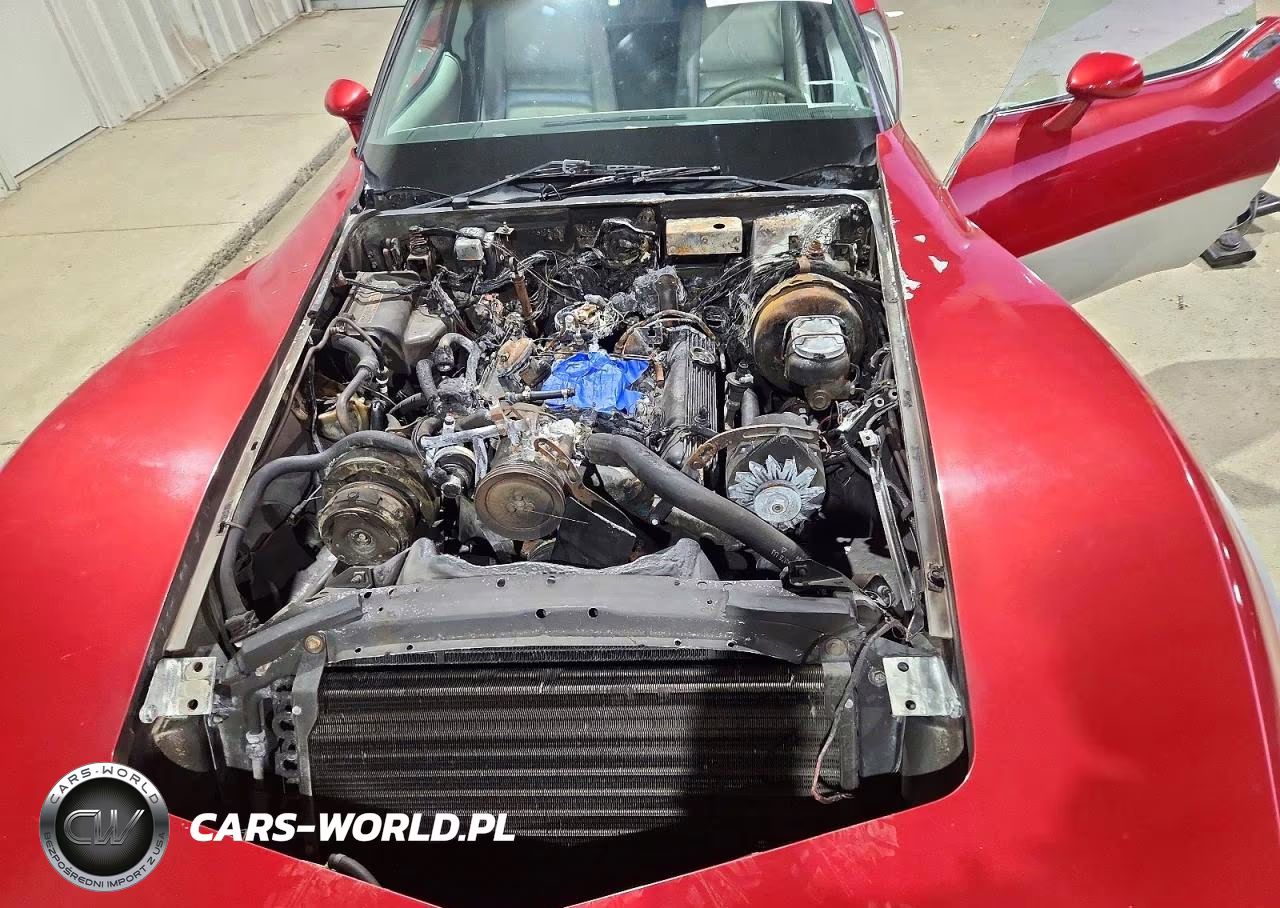 1981 Chevrolet Corvette VIN:1G1AY8761BS410473 - 11