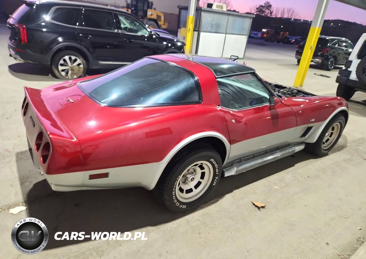 1981 Chevrolet Corvette VIN:1G1AY8761BS410473 - 3