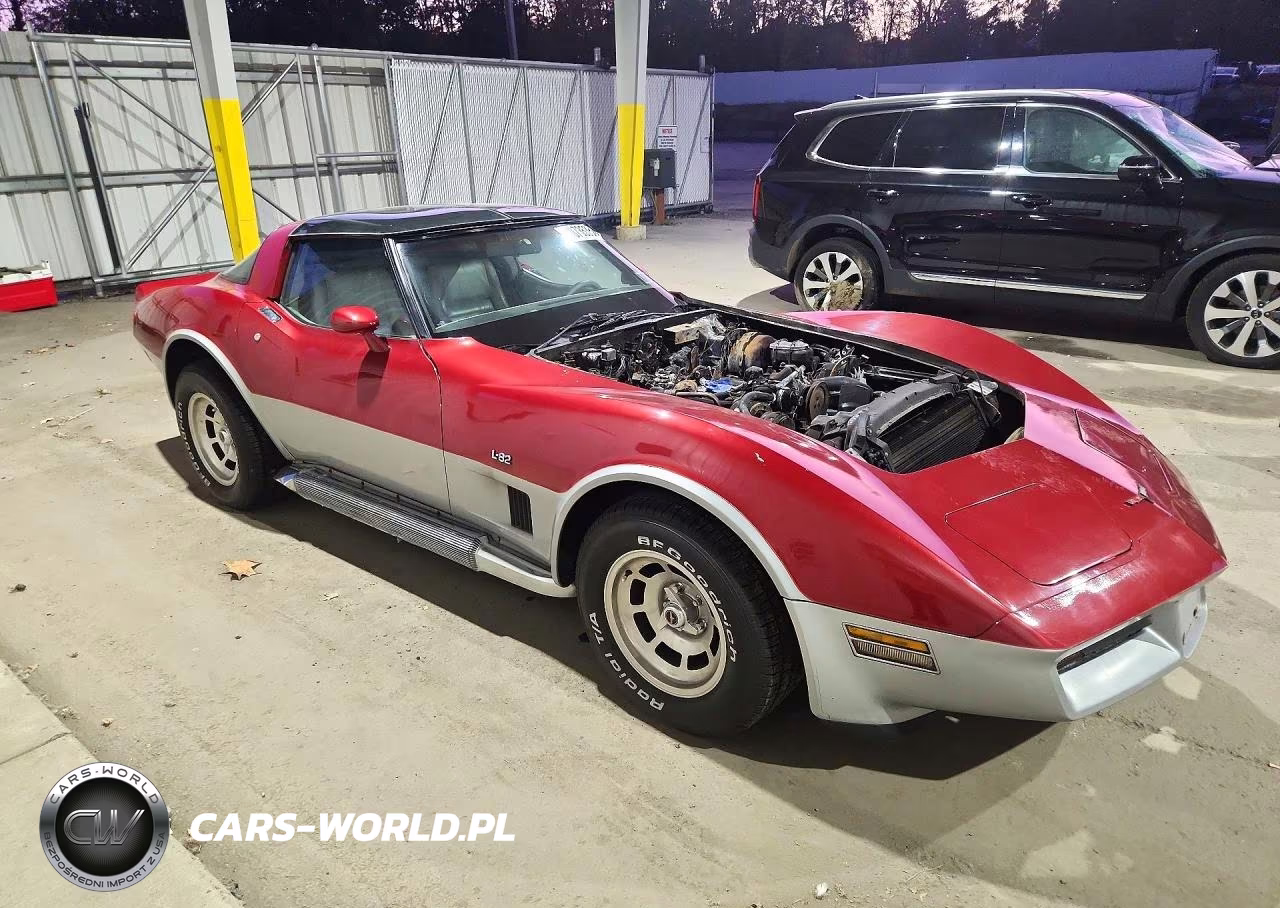 1981 Chevrolet Corvette VIN:1G1AY8761BS410473 - 4