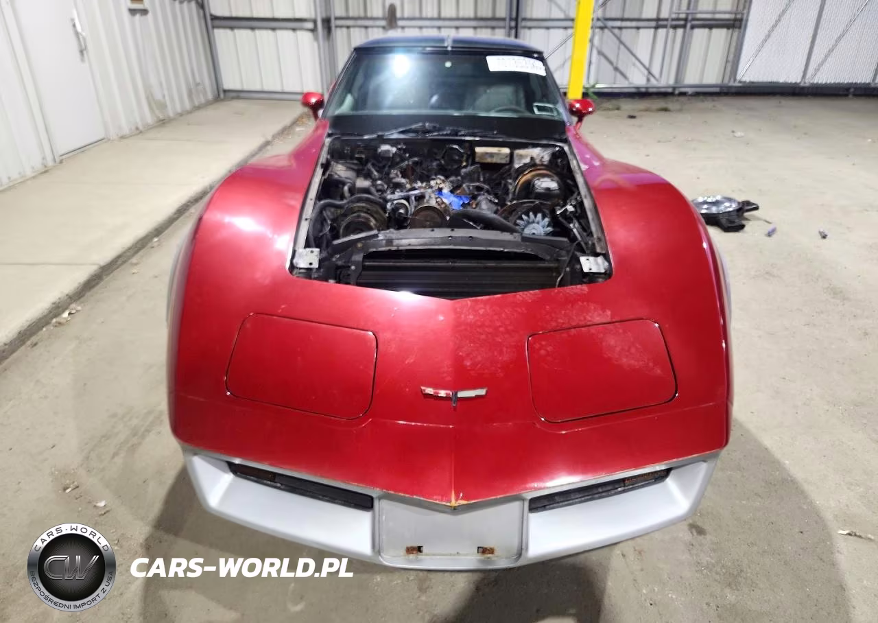 1981 Chevrolet Corvette VIN:1G1AY8761BS410473 - 5