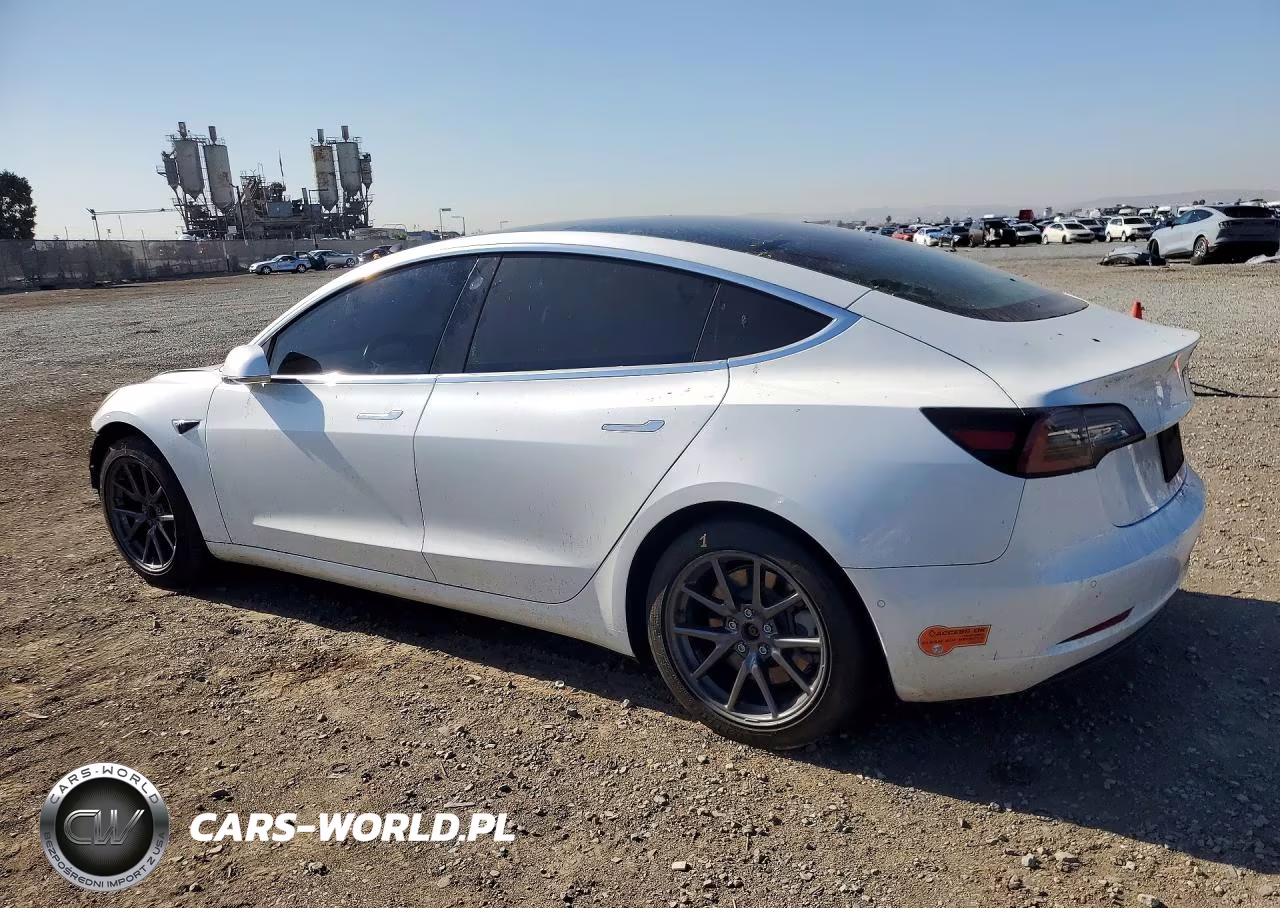 2020 Tesla Model 3 VIN:5YJ3E1EA2LF590553 - 2