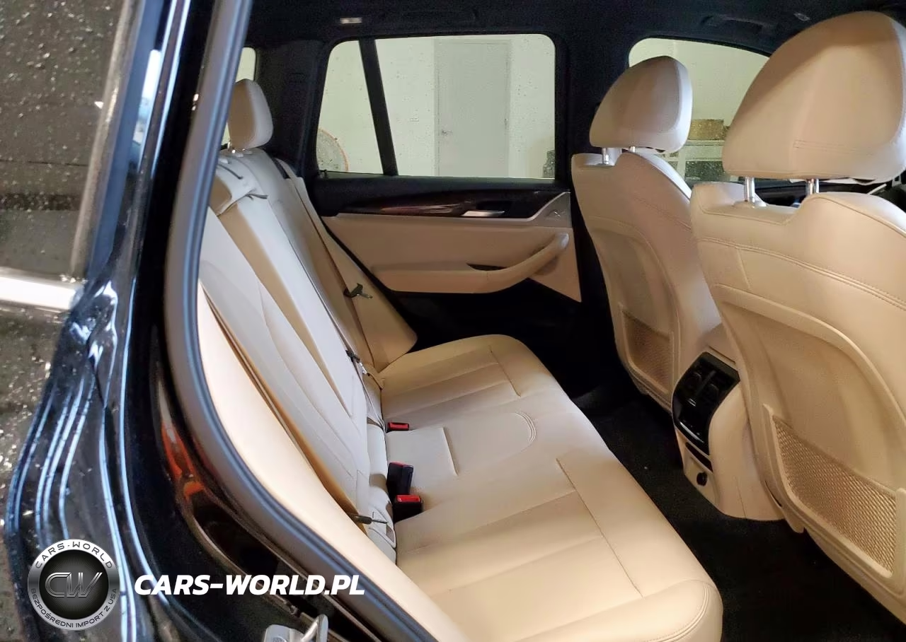 2019 BMW X3 Sdrive30I VIN:5UXTR7C56KLE94371 - 10