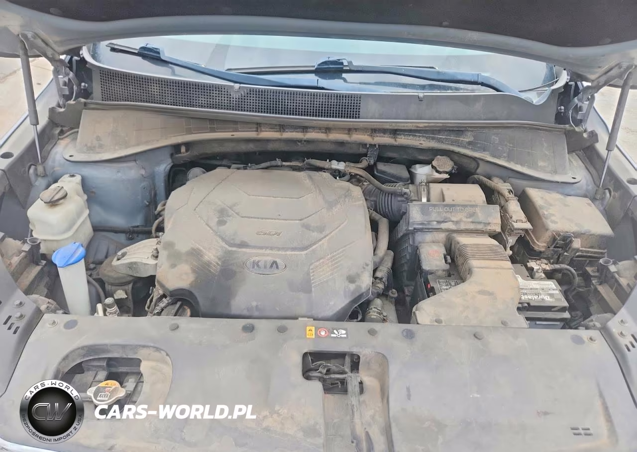 2020 Kia Sorento Ex V6 VIN:5XYPHDA5XLG667407 - 12