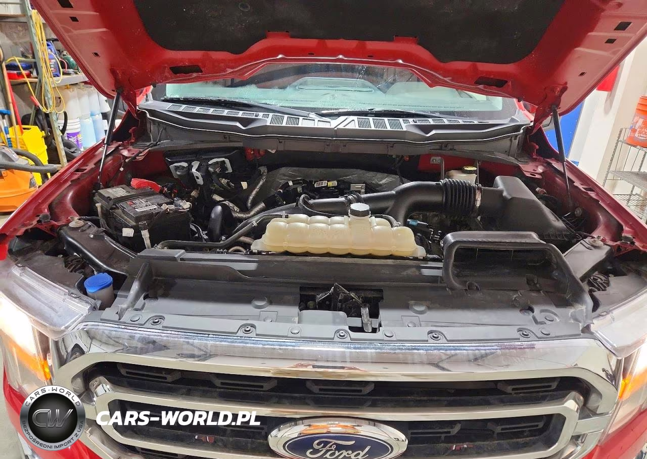 2021 Ford F150 Supercrew VIN:1FTEW1EP0MKD27704 - 11