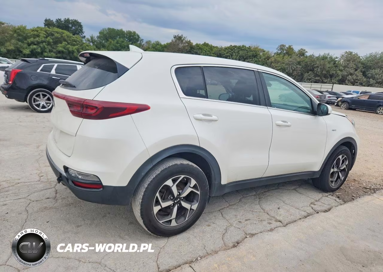 2022 Kia Sportage Lx VIN:KNDPMCAC8N7001019 - 3