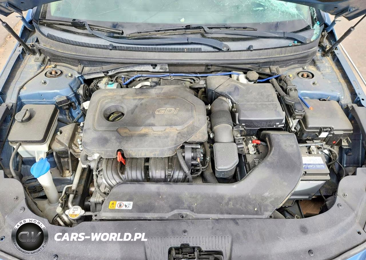 2016 Hyundai Sonata Se VIN:5NPE24AF6GH263410 - 11