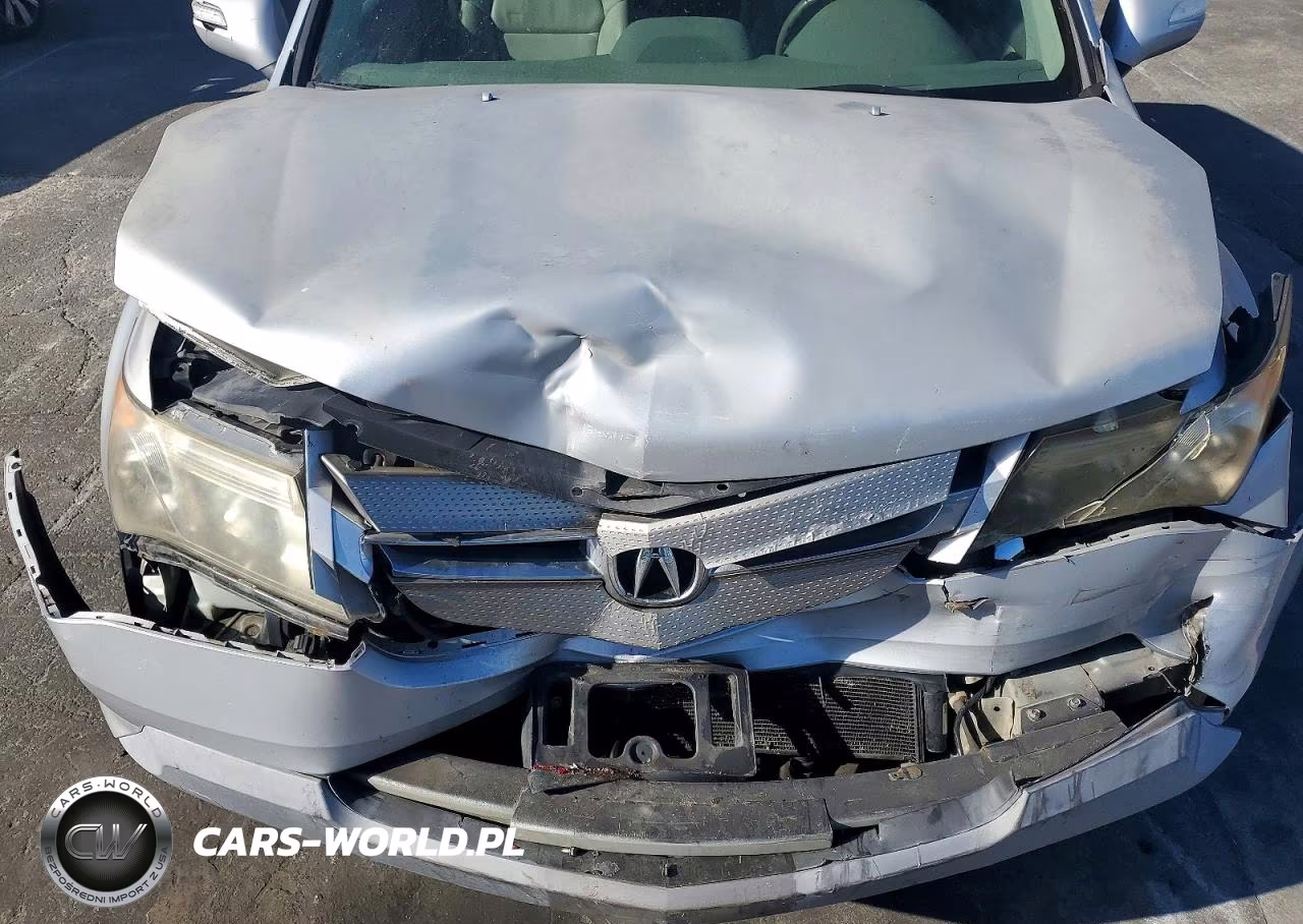 2009 Acura Mdx Technology VIN:2HNYD28619H522117 - 11