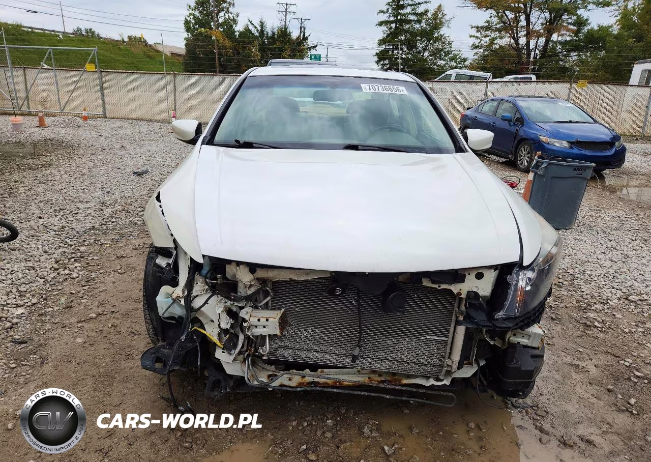 2008 Honda Accord Exl VIN:1HGCP368X8A012610 - 5