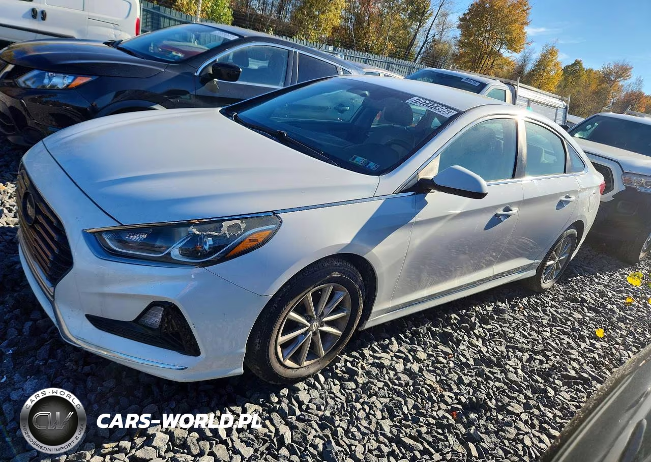 2019 Hyundai Sonata Se VIN:5NPE24AF4KH734379 - 1