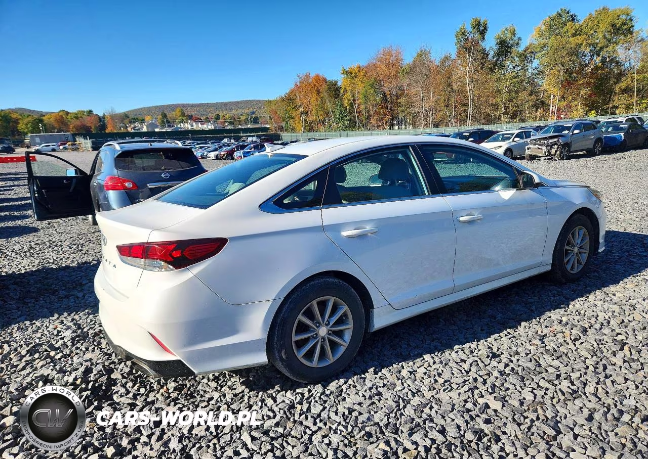 2019 Hyundai Sonata Se VIN:5NPE24AF4KH734379 - 3