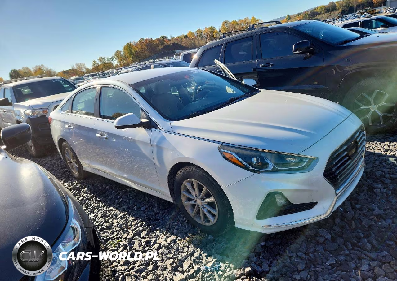 2019 Hyundai Sonata Se VIN:5NPE24AF4KH734379 - 4