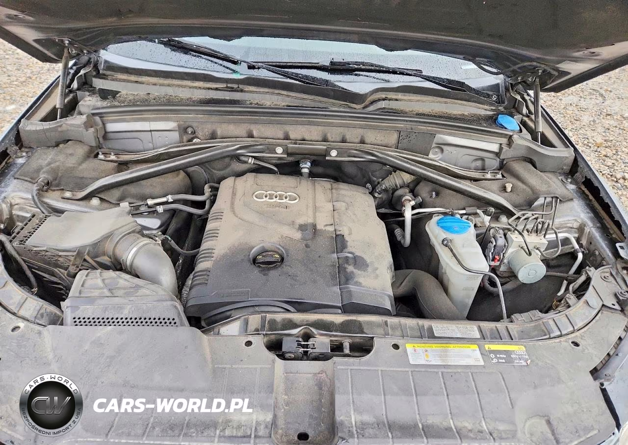 2014 Audi Q5 Premium Plus VIN:WA1LFAFP3EA070013 - 11