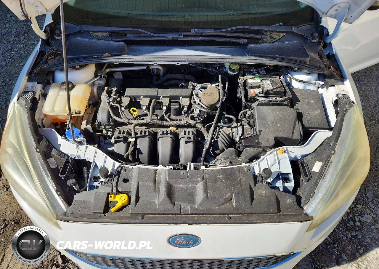 2015 Ford Focus Se VIN:1FADP3F29FL329624 - 11