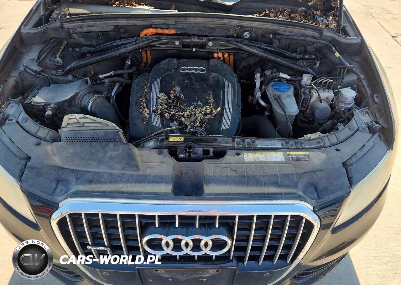 2013 Audi Q5 Premium Hybrid VIN:WA1C8AFPXDA024705 - 12