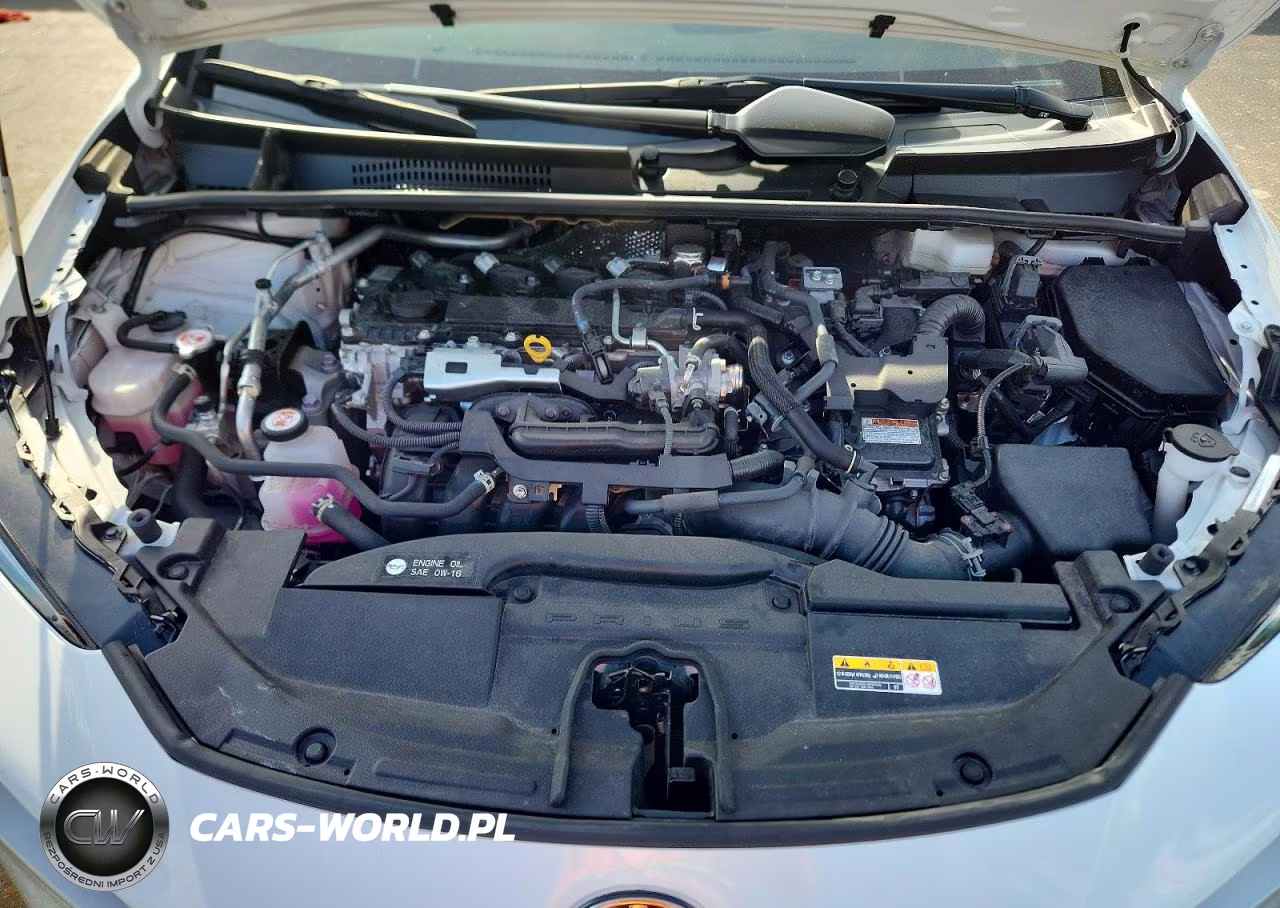 TOYOTA PRIUS VIN:JTDACAAU1R3033846 - 11