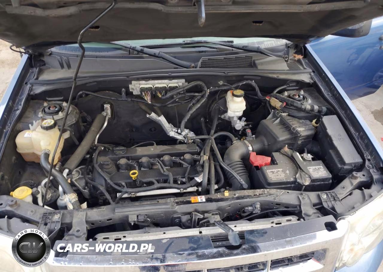2010 Ford Escape Xlt VIN:1FMCU0D79AKB28442 - 12