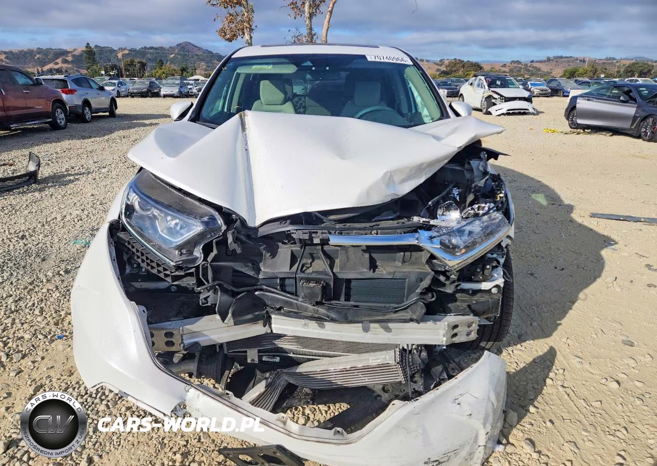 2019 Honda Cr-V Ex VIN:5J6RW1H58KA042970 - 5