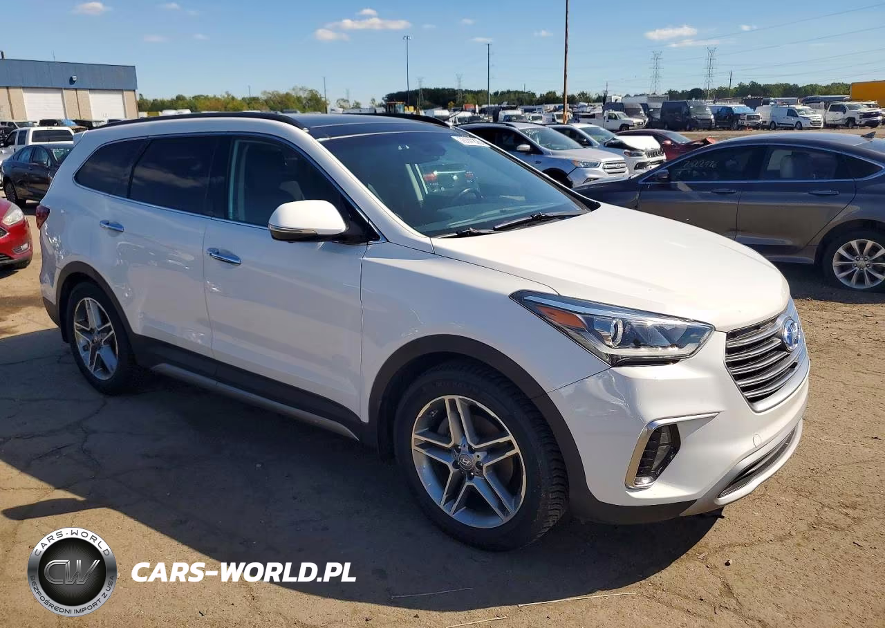 2017 Hyundai Santa Fe Limited Ultimate VIN:KM8SRDHF9HU207792 - 4