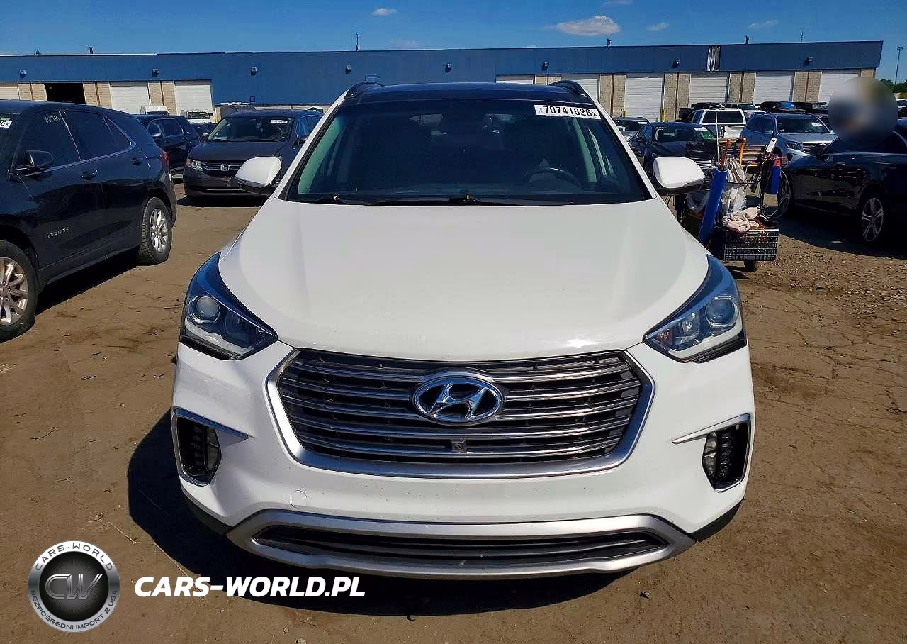 2017 Hyundai Santa Fe Limited Ultimate VIN:KM8SRDHF9HU207792 - 5