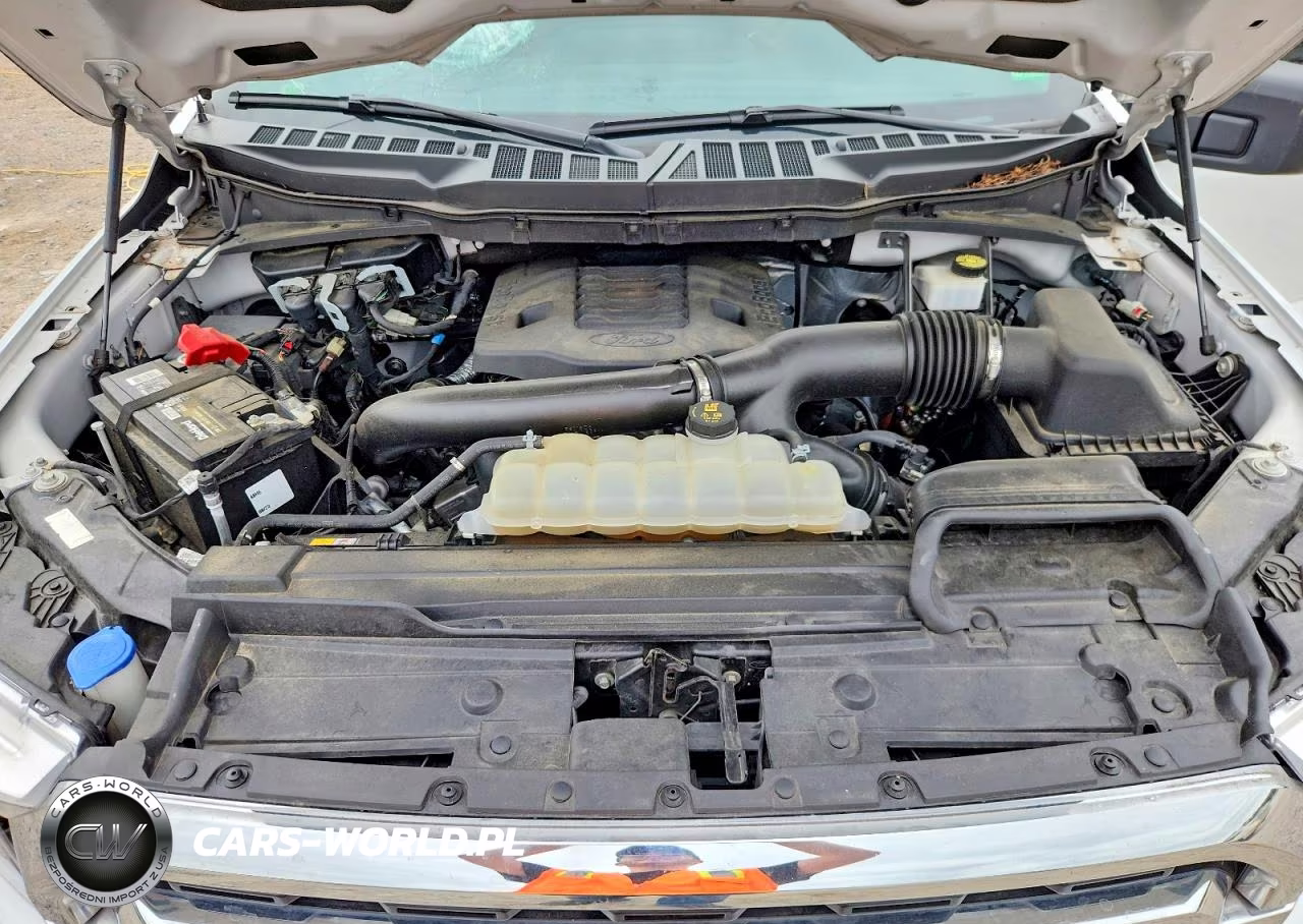 2021 Ford F150 Supercrew VIN:1FTFW1E80MFB91984 - 11