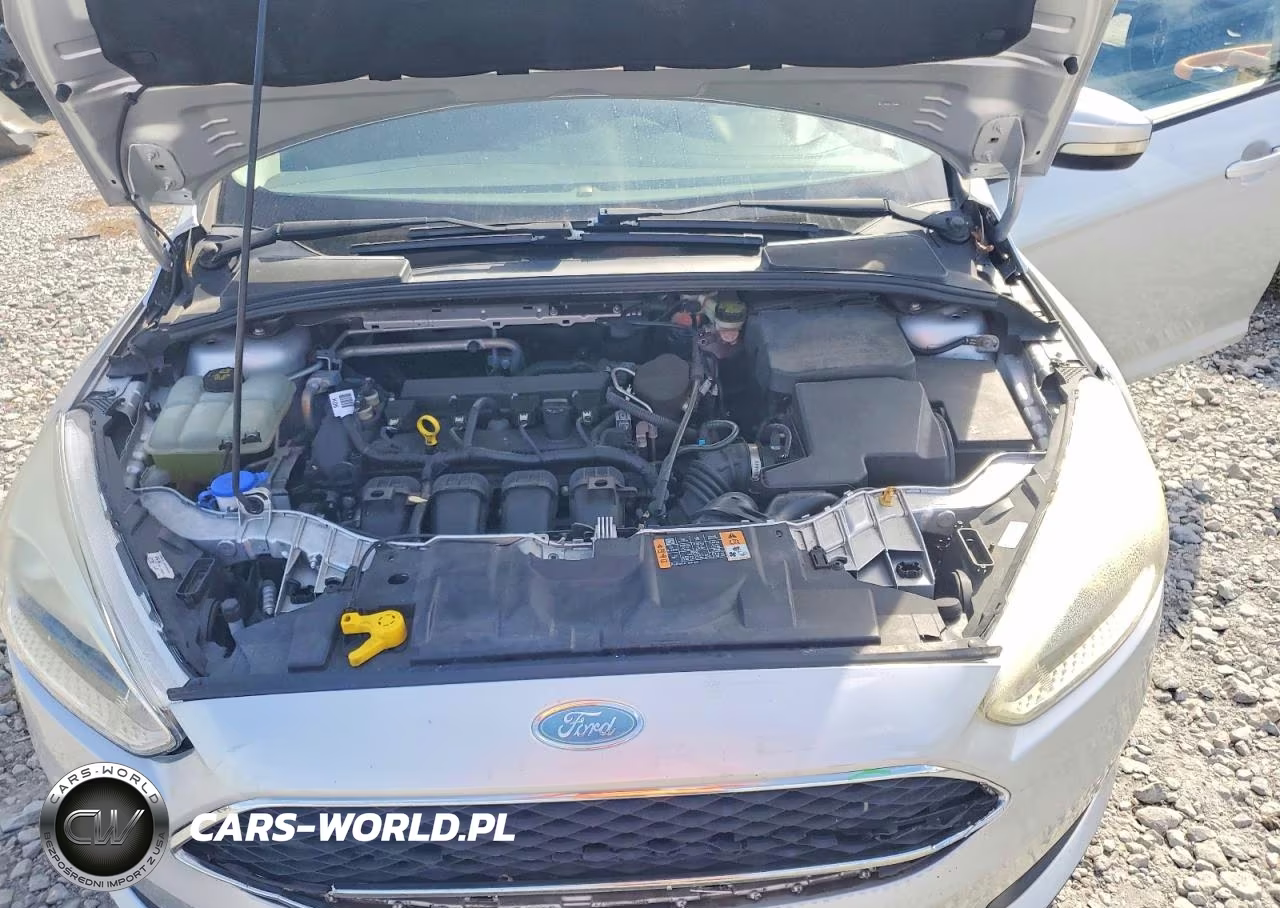 2015 Ford Focus Se VIN:1FADP3F26FL252873 - 11
