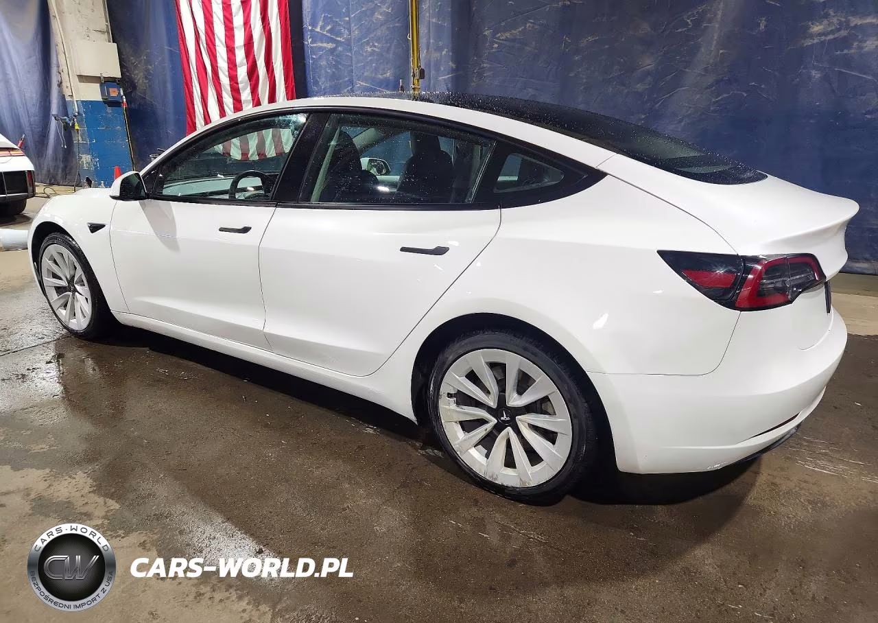 2023 Tesla Model 3 VIN:5YJ3E1EA9PF436959 - 2