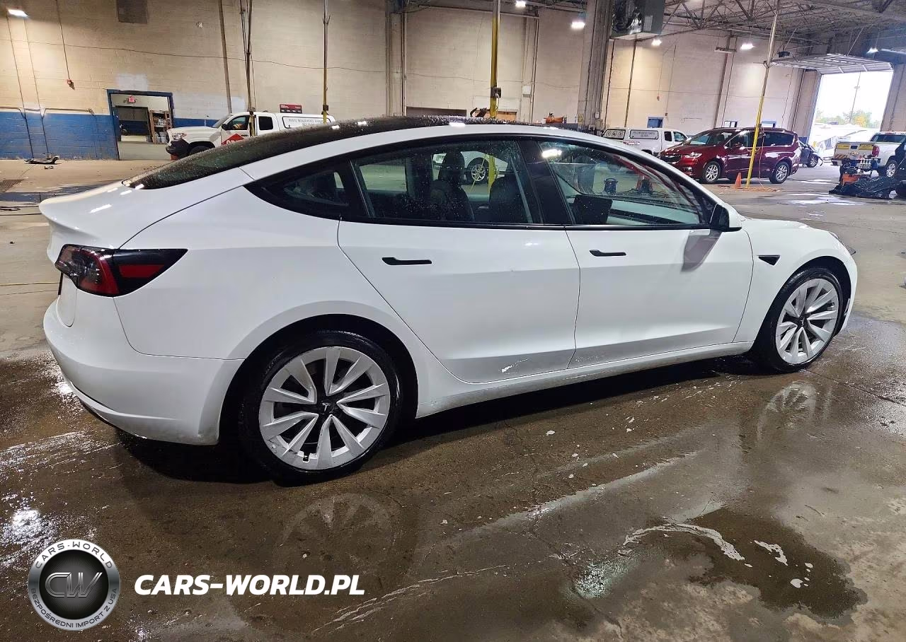 2023 Tesla Model 3 VIN:5YJ3E1EA9PF436959 - 3