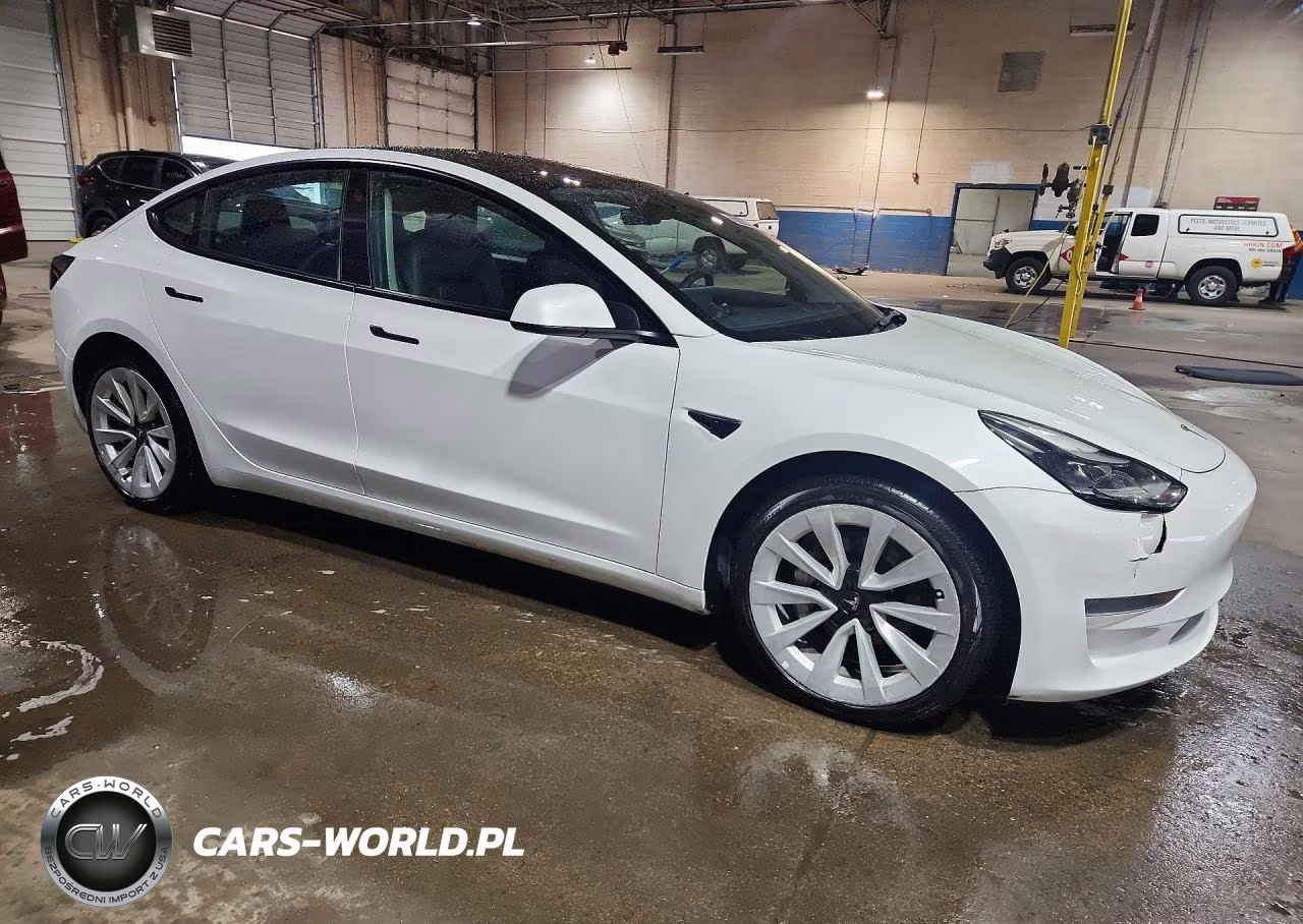 2023 Tesla Model 3 VIN:5YJ3E1EA9PF436959 - 4