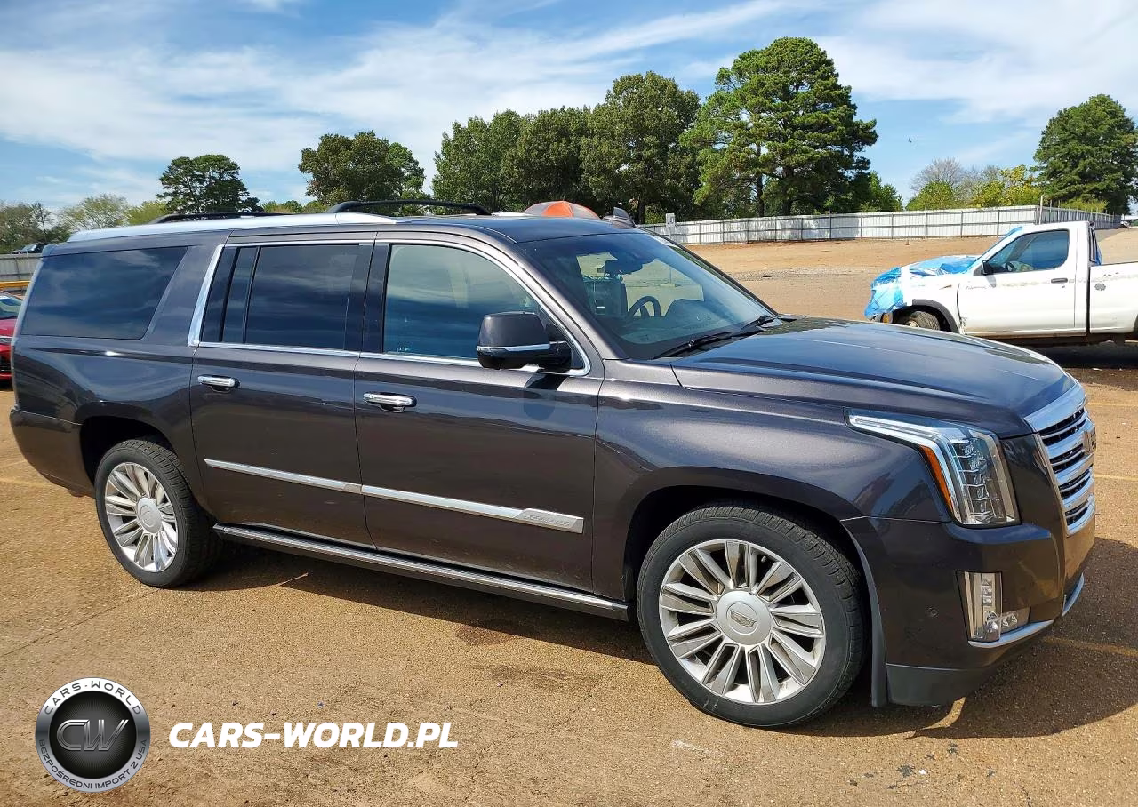 2018 Cadillac Escalade Esv Platinum VIN:1GYS4KKJXJR172235 - 4