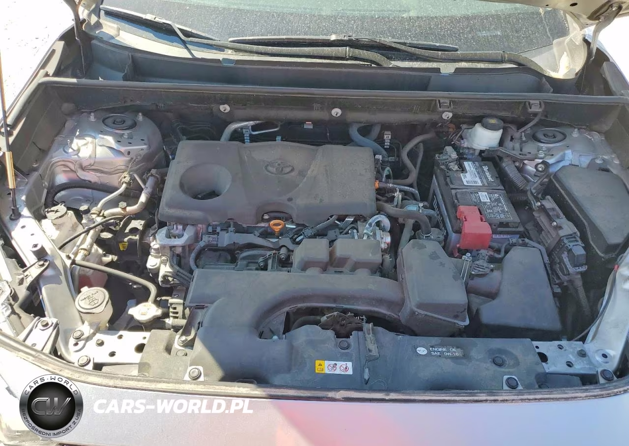 2023 Toyota Rav4 Xle VIN:2T3W1RFV4PW284012 - 12