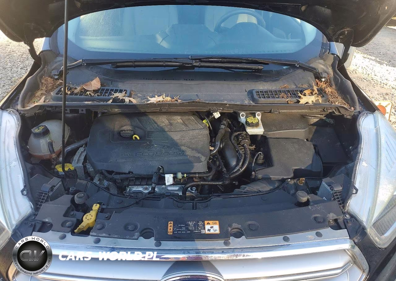 2017 Ford Escape Se VIN:1FMCU0GD2HUE91813 - 12