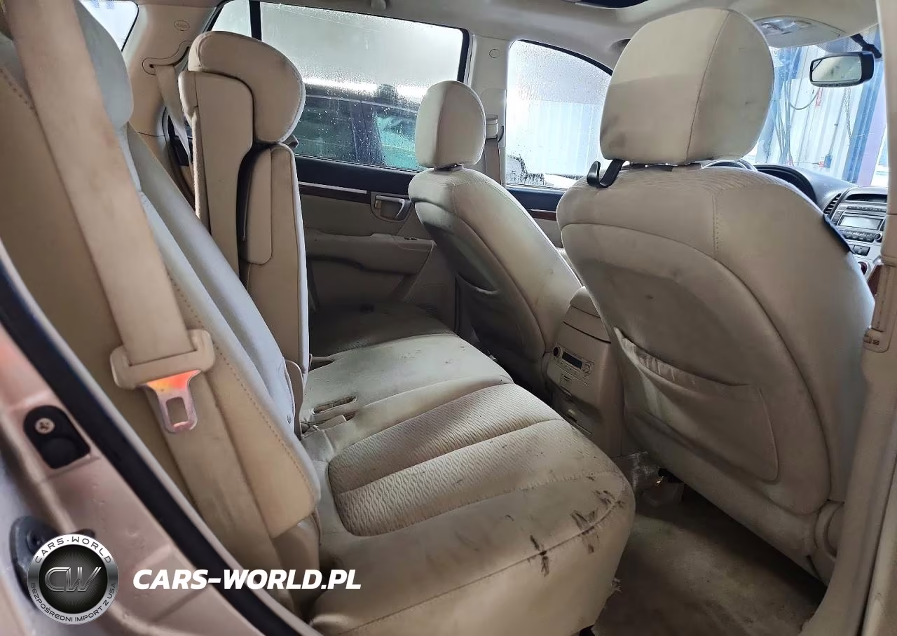 2007 Hyundai Santa Fe Se VIN:5NMSH13E47H075230 - 10