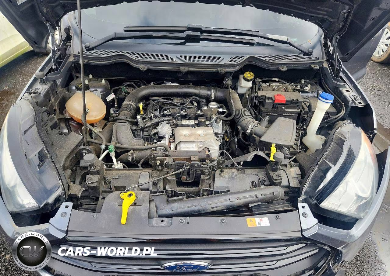 2020 Ford Ecosport S VIN:MAJ3S2FE5LC336337 - 12