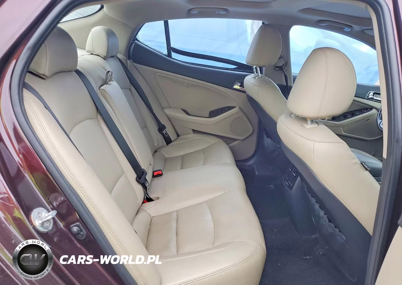 2013 Kia Optima Ex VIN:5XXGN4A78DG248438 - 10