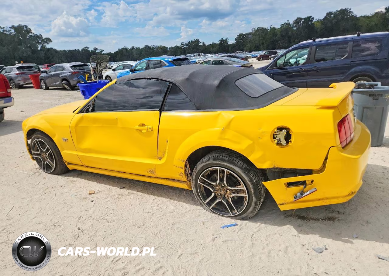 2005 Ford Mustang Gt VIN:1ZVFT85H055205324 - 2