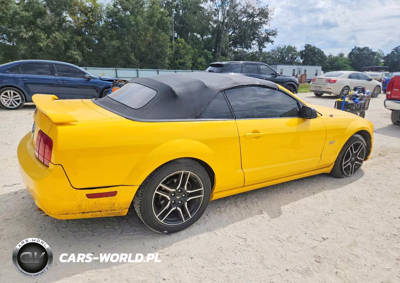 2005 Ford Mustang Gt VIN:1ZVFT85H055205324 - 3