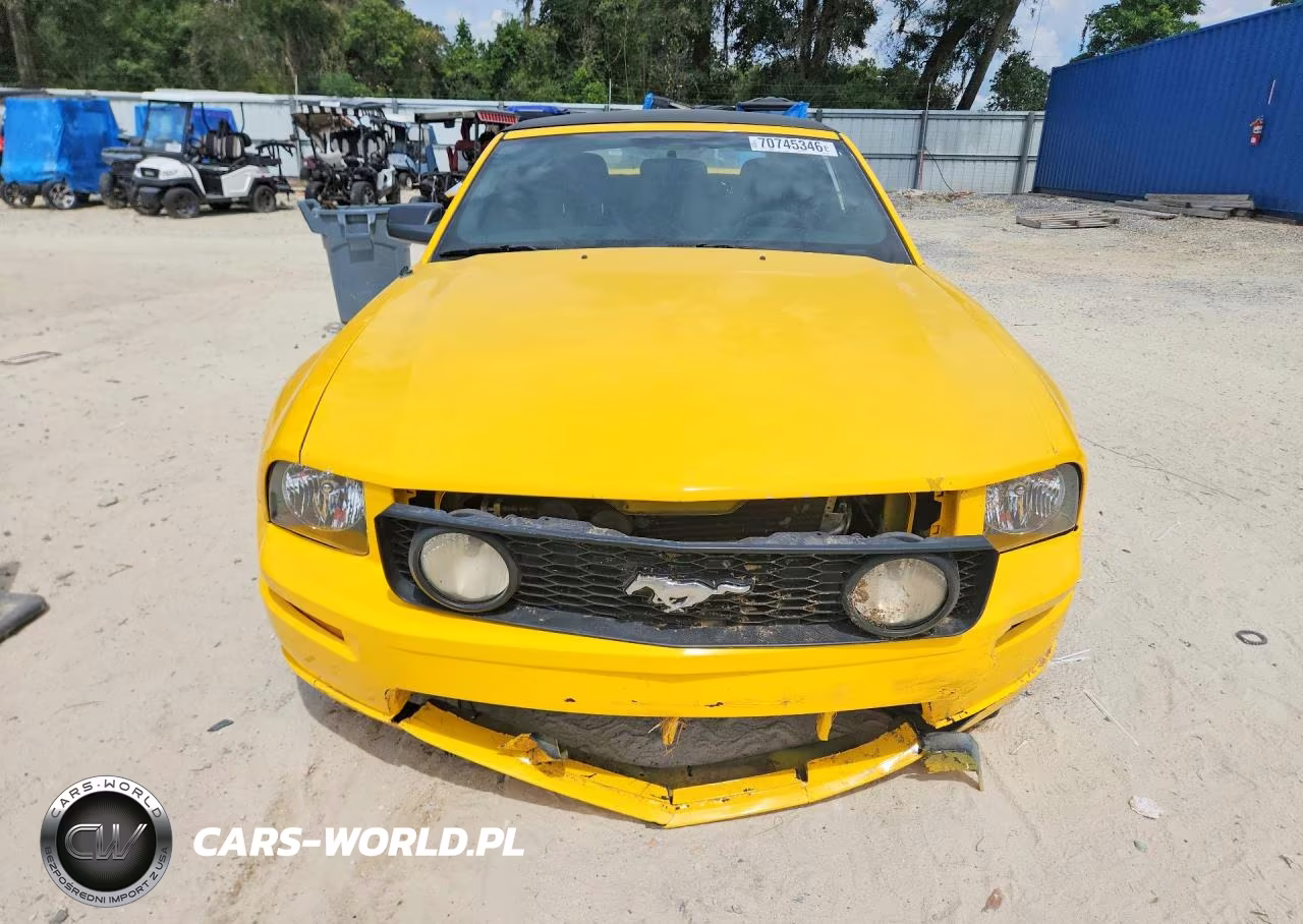 2005 Ford Mustang Gt VIN:1ZVFT85H055205324 - 5