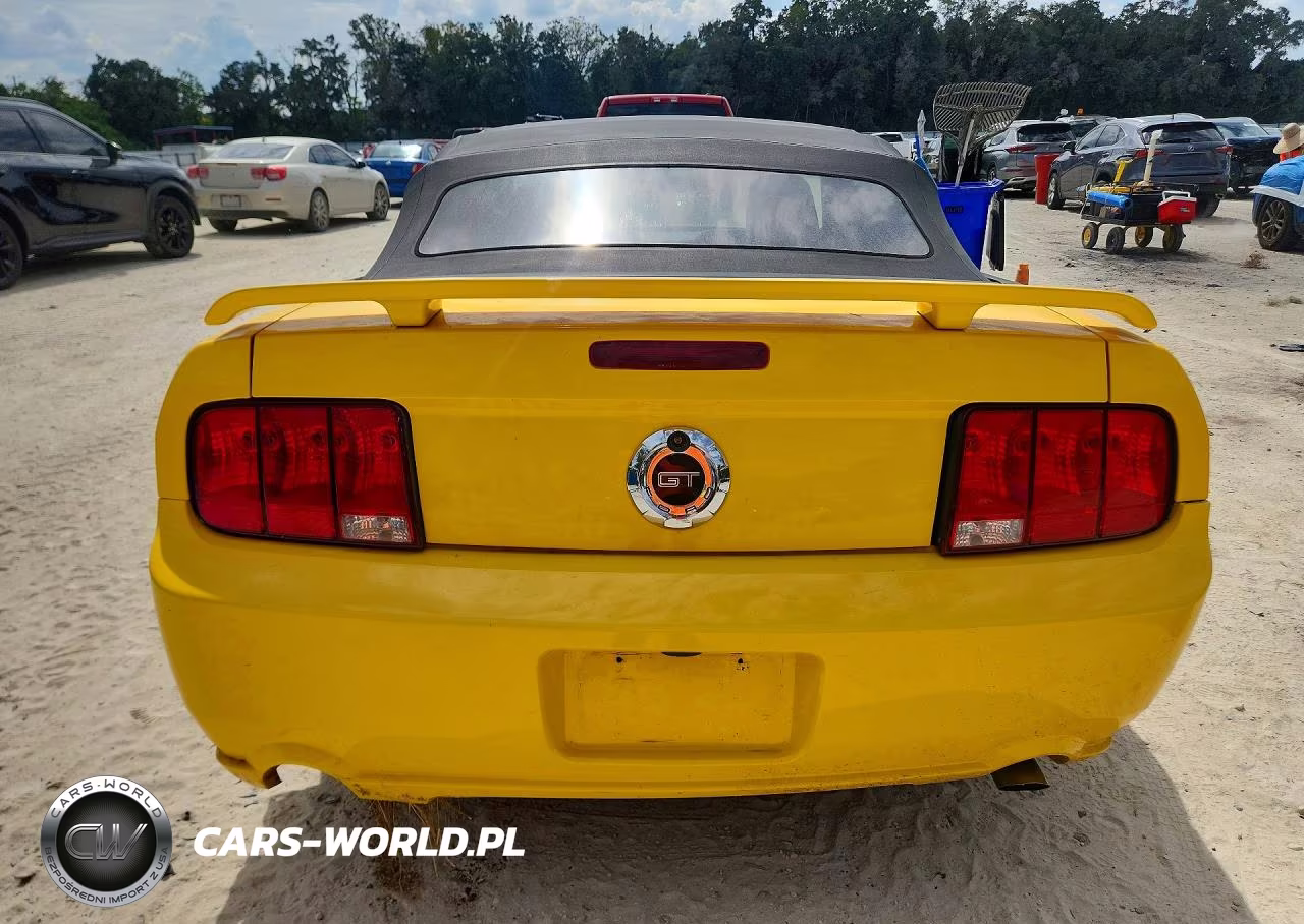 2005 Ford Mustang Gt VIN:1ZVFT85H055205324 - 6